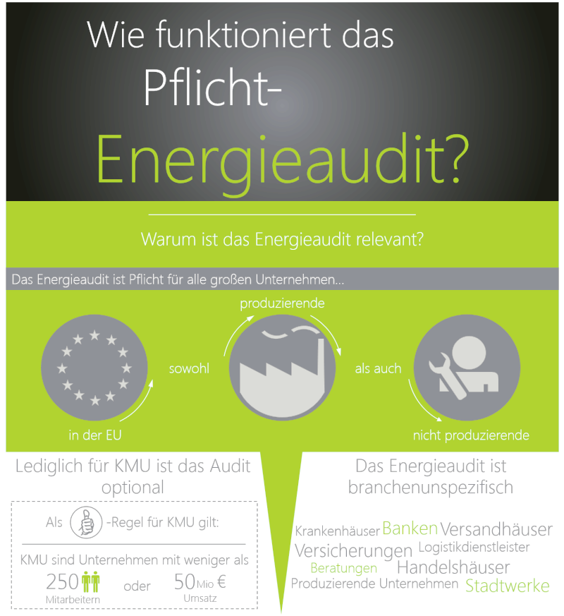 Infografik_Energieaudit_web_Teil1